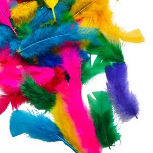 Penas coloridas p/ artesanato (10 und) - Imagem 1