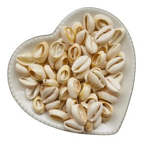 Buzios natural (20g.) - Imagem 1