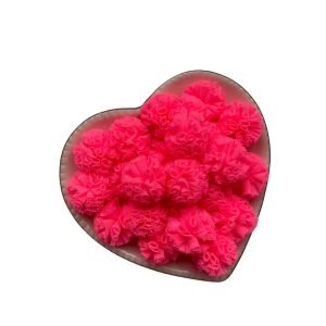 Pompom de tule rosa neon 2,5cm (6 und)